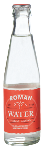 Afbeeldingen van Roman Bruisend water 24x20CL