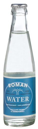 Afbeeldingen van Roman Plat water 24x20CL