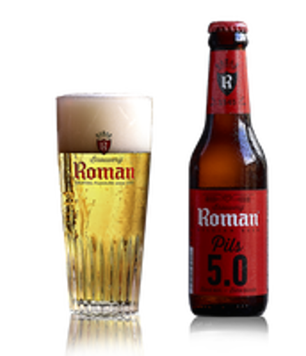 Afbeeldingen van ROMAN PILS 24X25CL