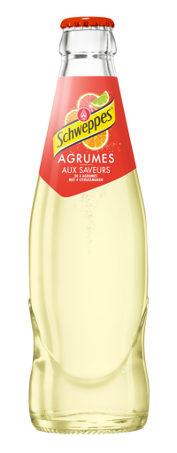 Afbeeldingen van SCHWEPPES AGRUM 25CL