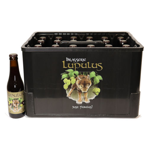 Afbeeldingen van LUPULUS BRUIN 24X33CL