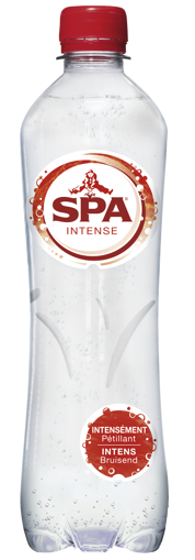 Afbeeldingen van SPA INTENSE PET 50CL
