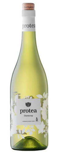 Afbeeldingen van PROTEA CHARDONNAY 2019