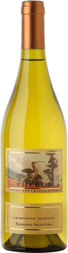 Afbeeldingen van Phebus Chardonnay Semillon Patagonia