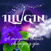 Afbeeldingen van ILLUGIN BLUEBERRY 40° 10CL
