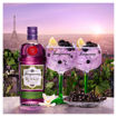 Afbeeldingen van TANQUERAY BLACKCURRANT ROYALE 70CL