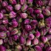 Afbeeldingen van BOTANICA Rekje met 4 Buisjes