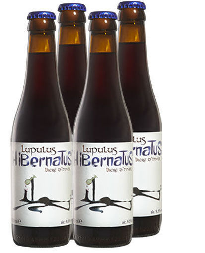 Afbeeldingen van LUPULUS HIBERNATUS 4X33CL