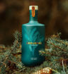 Afbeeldingen van ARDUENNA ORGANIC GIN 50CL