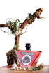 Afbeeldingen van MONDICH GIN RED 50CL