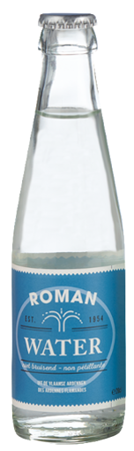 Afbeeldingen van ROMAN PLAT 24X20CL